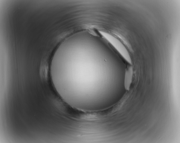 X0000088380110200706051106