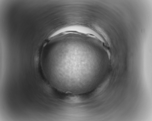 X0000088380113200706051106