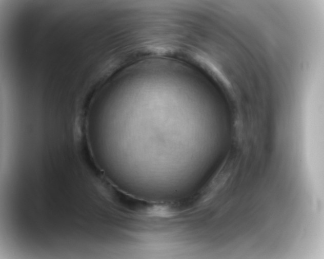 X0000088380114200706051106