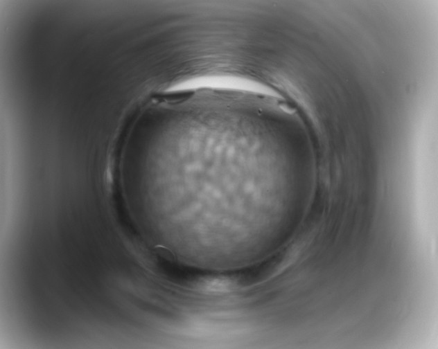 X0000088380115200706051106