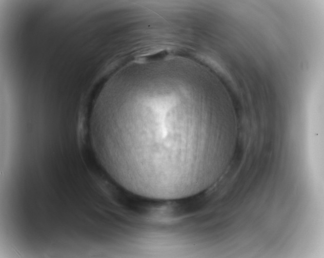 X0000088380116200706051106