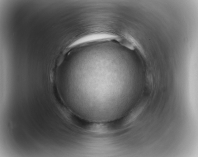 X0000088380117200706051106