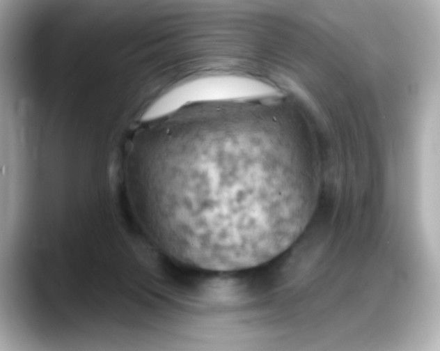 X0000088380119200706051106