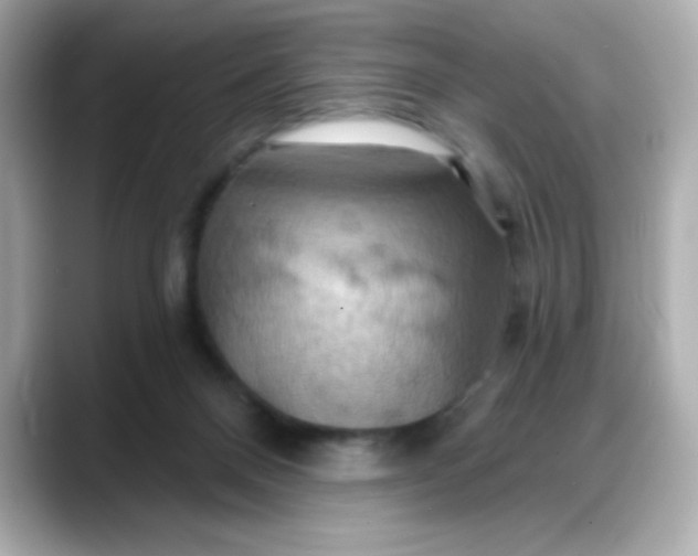 X0000088380120200706051106