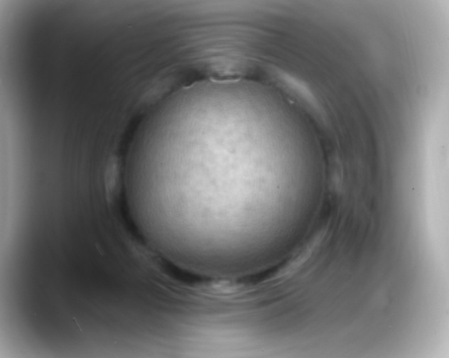 X0000088380121200706051106