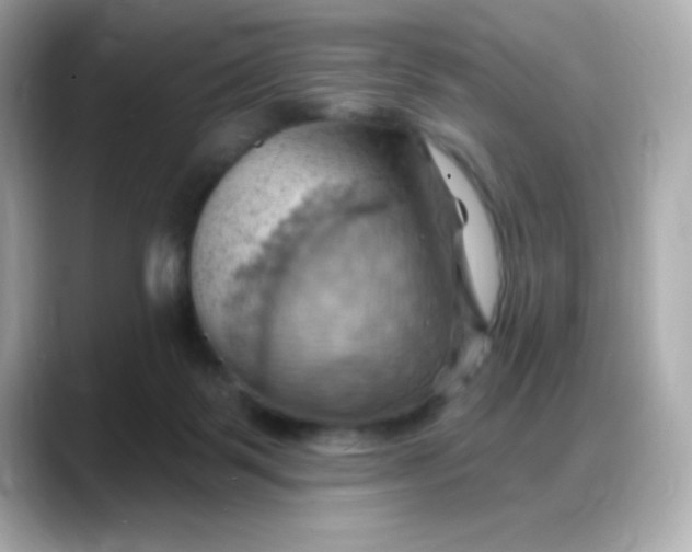 X0000088380123200706051106