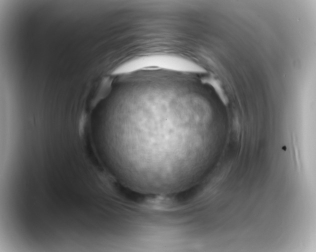 X0000088380125200706051106