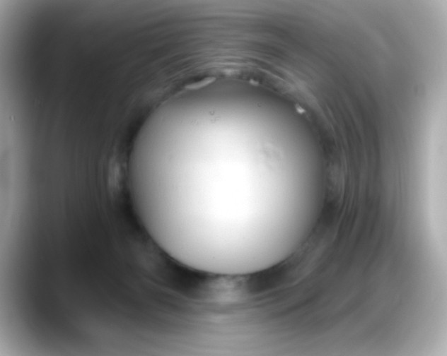 X0000088380126200706051106