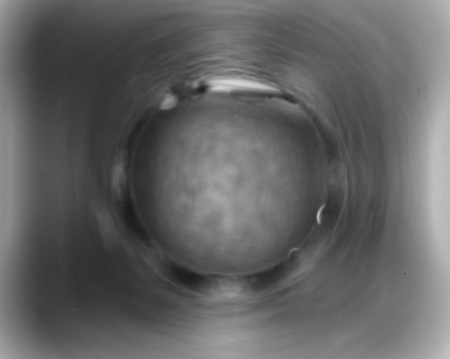 X0000088380127200706051106