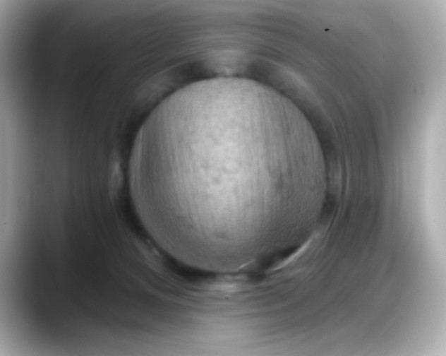 X0000088380128200706051106