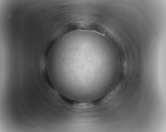 X0000088380129200706051106