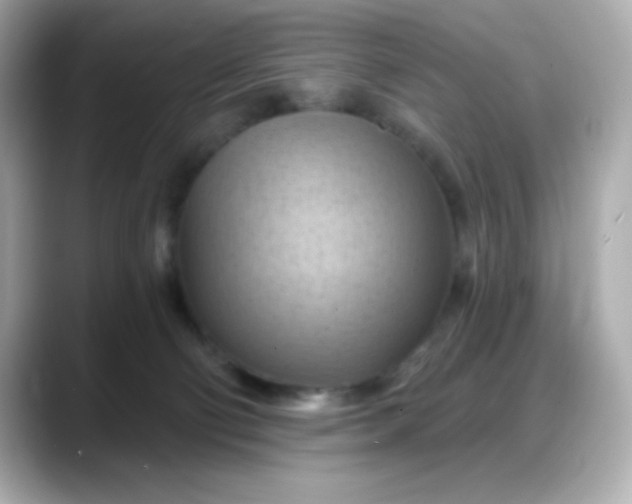 X0000088380130200706051106