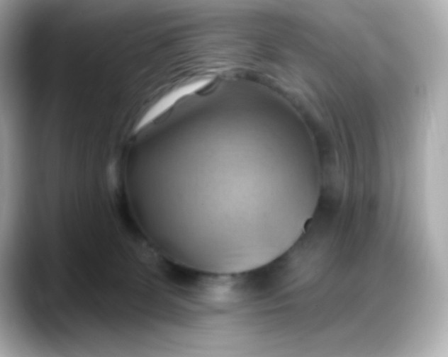 X0000088380131200706051106