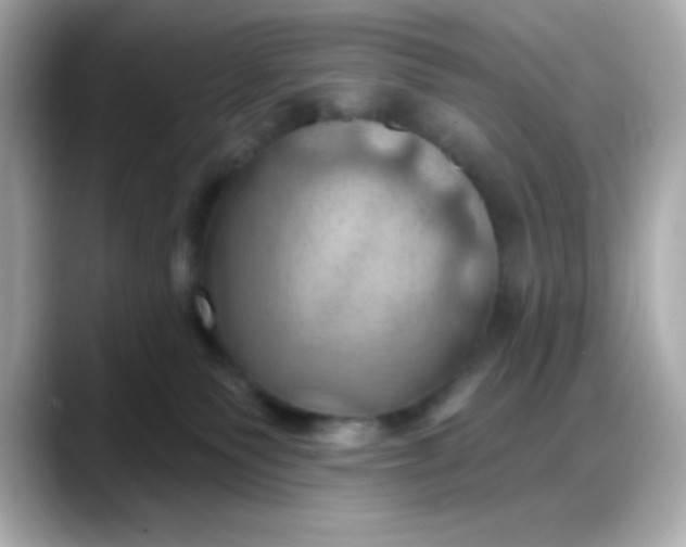 X0000088380135200706051106