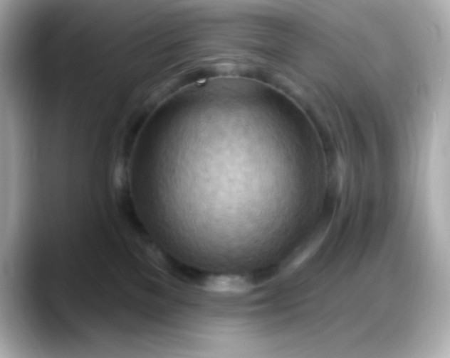 X0000088380137200706051106