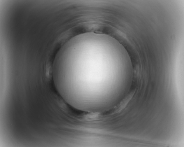 X0000088380138200706051106