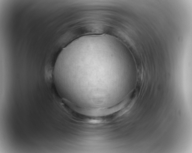 X0000088380141200706051106