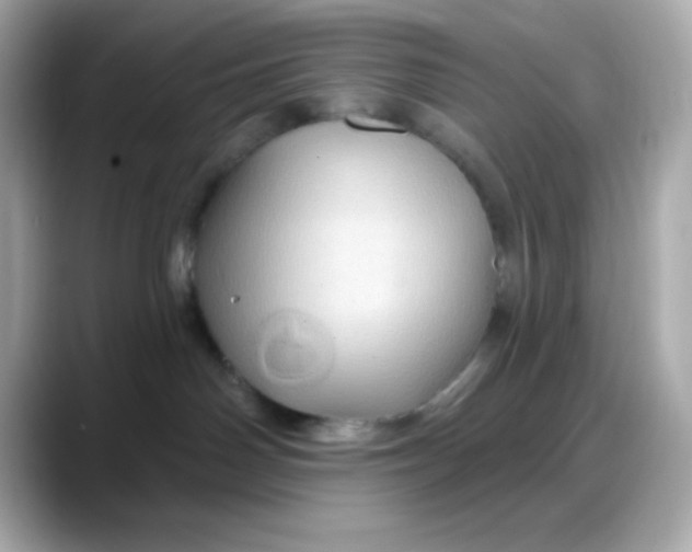 X0000088380142200706051106