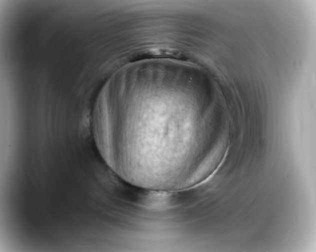 X0000088380144200706051106