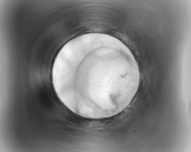 X0000088380146200706051105