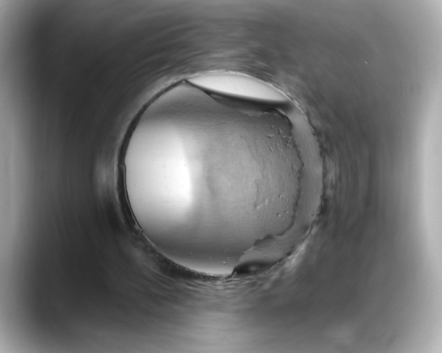 X0000088380148200706051106