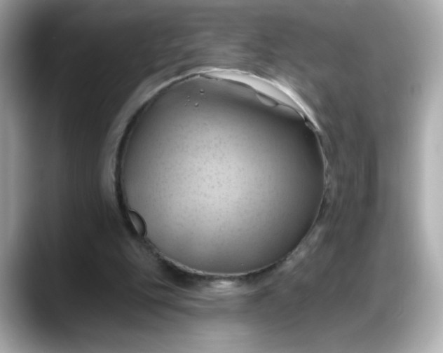 X0000088380151200706051106