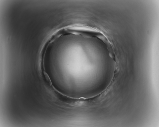 X0000088380152200706051106