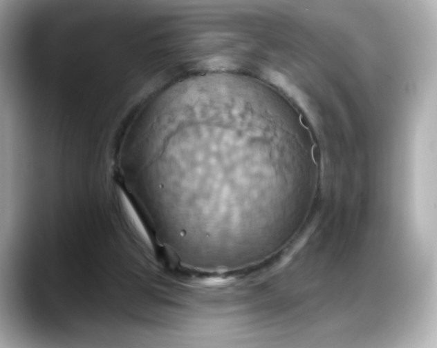 X0000088380153200706051106