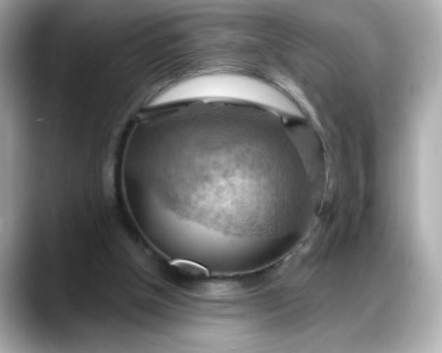 X0000088380154200706051106