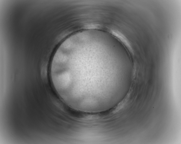 X0000088380155200706051106