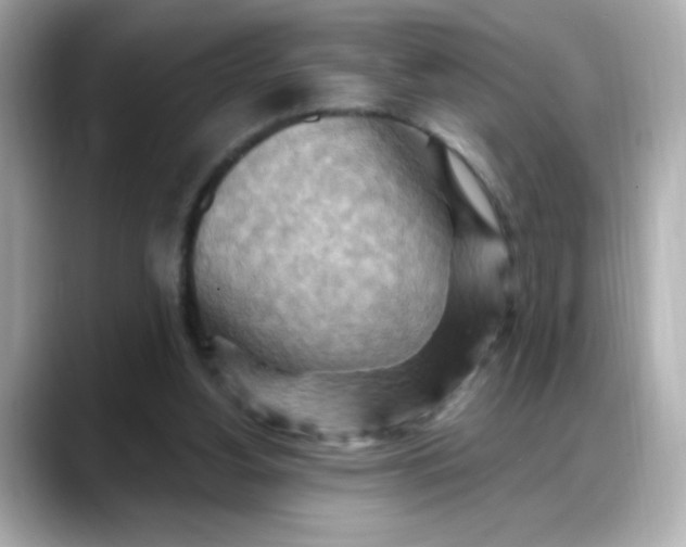 X0000088380156200706051106