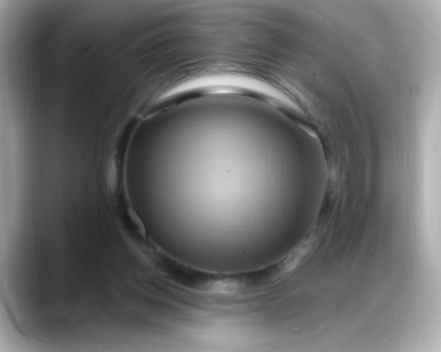 X0000088380158200706051106