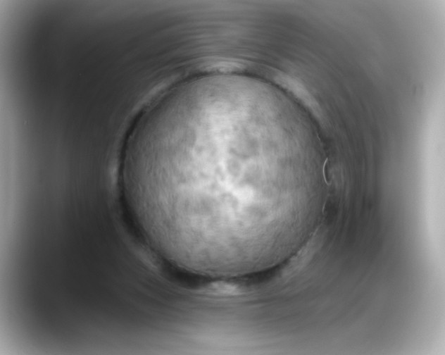 X0000088380159200706051106