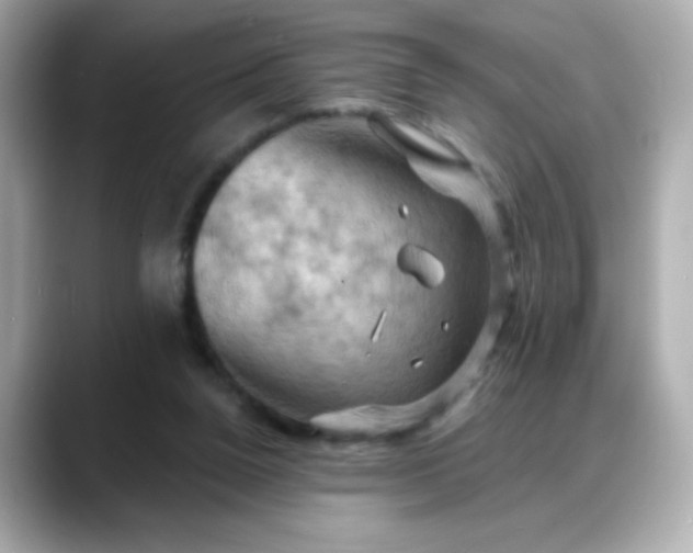 X0000088380160200706051106