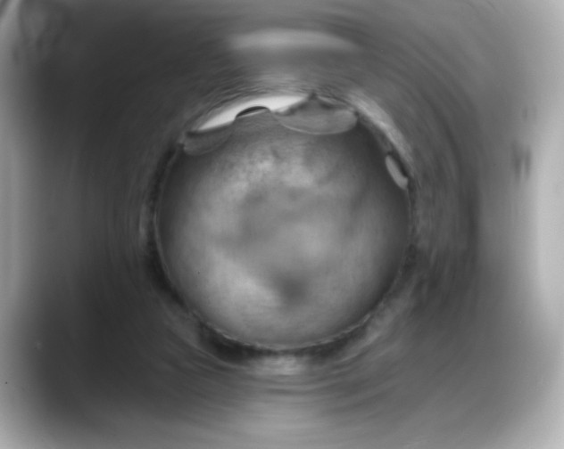 X0000088380161200706051106