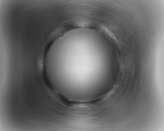 X0000088380163200706051106