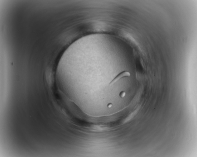 X0000088380164200706051106