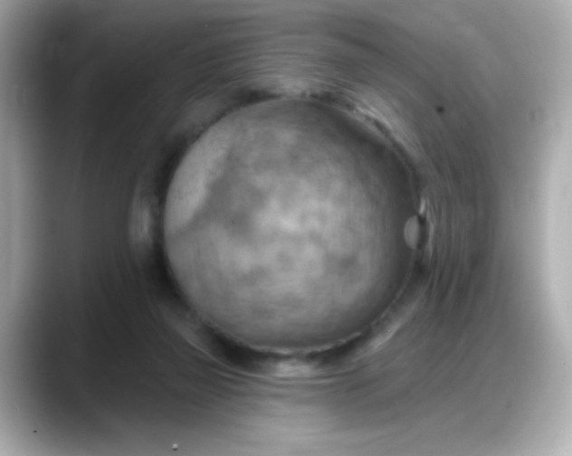 X0000088380165200706051106