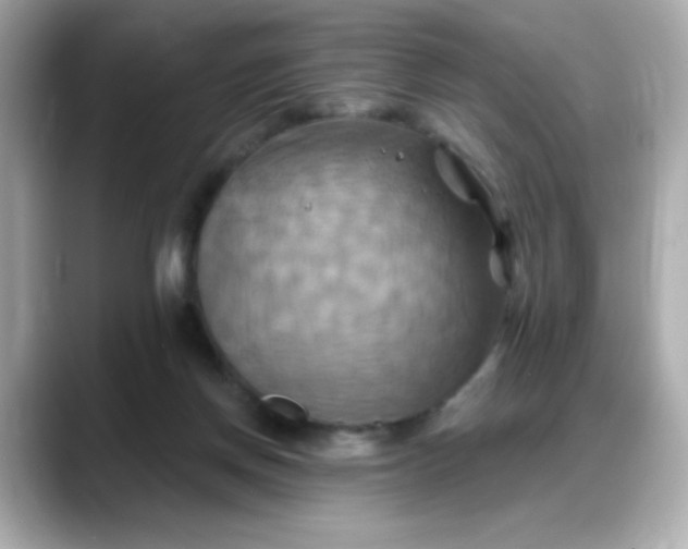 X0000088380166200706051106