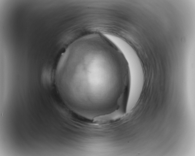 X0000088380168200706051106