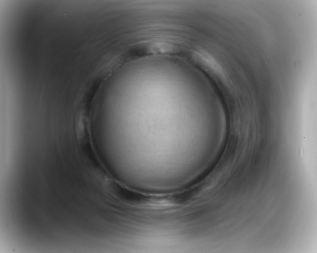 X0000088380169200706051106