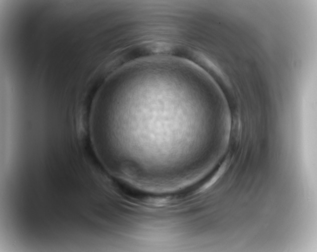 X0000088380170200706051106