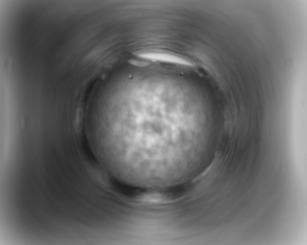 X0000088380171200706051106