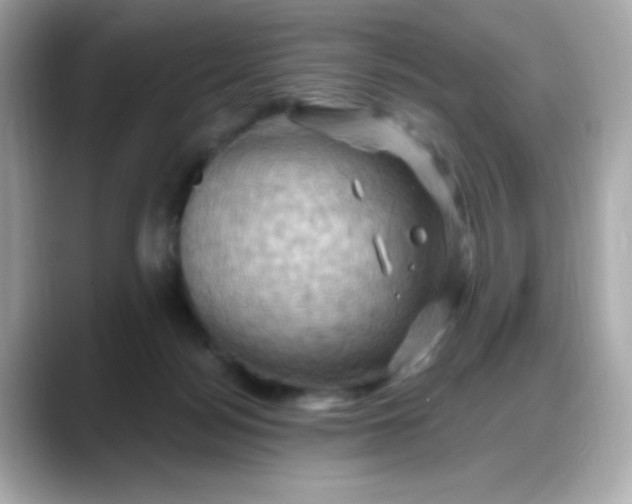 X0000088380172200706051106