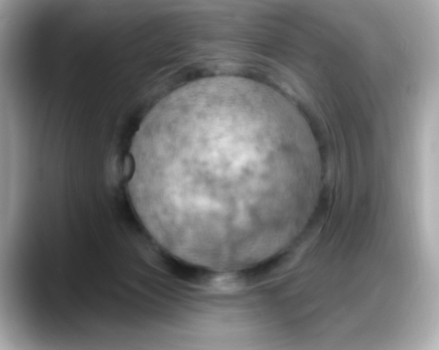 X0000088380173200706051106