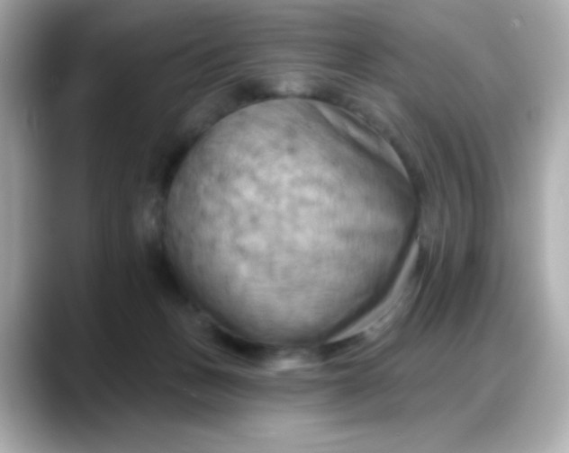 X0000088380175200706051106