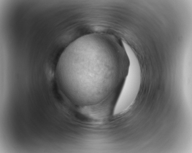 X0000088380176200706051106