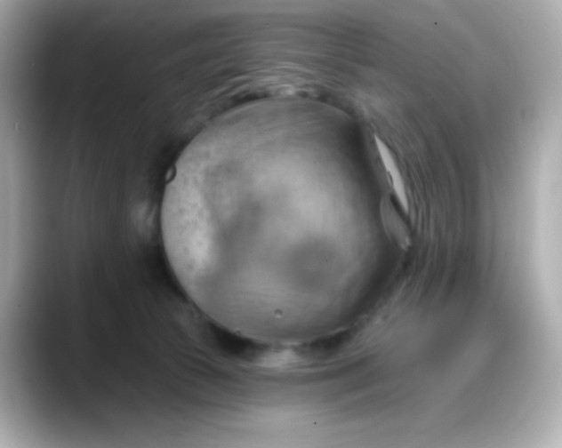 X0000088380177200706051106