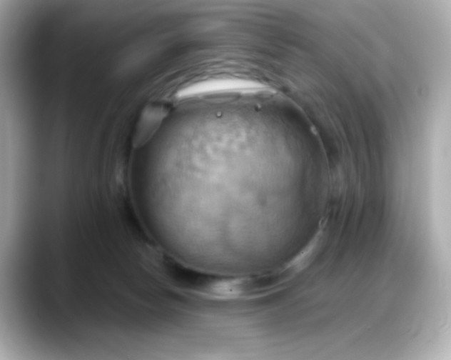 X0000088380178200706051106