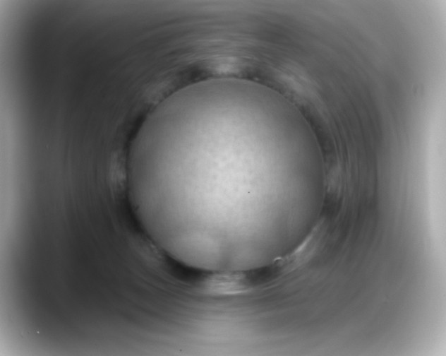 X0000088380179200706051106